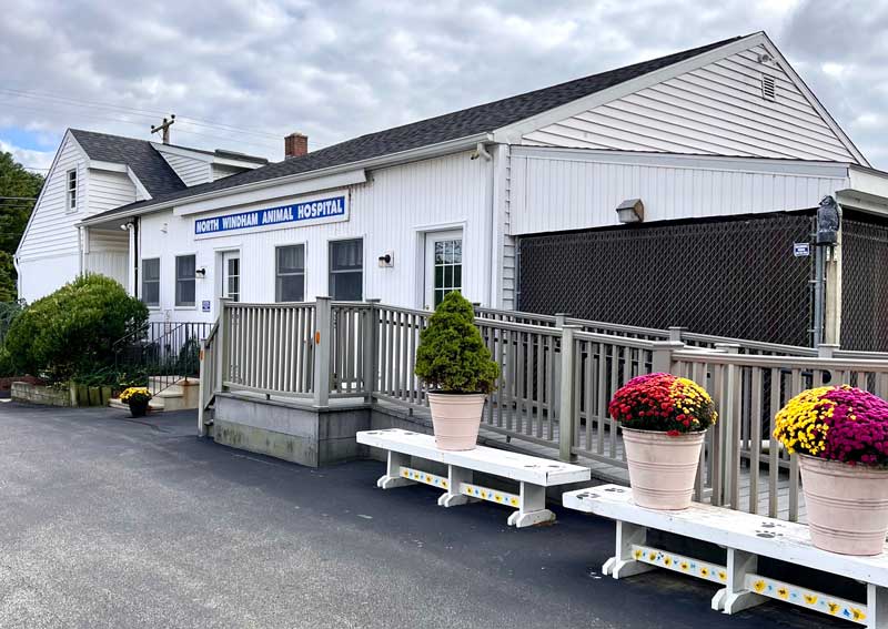 Carousel Slide 8: Learn more about North Windham Animal Hospital