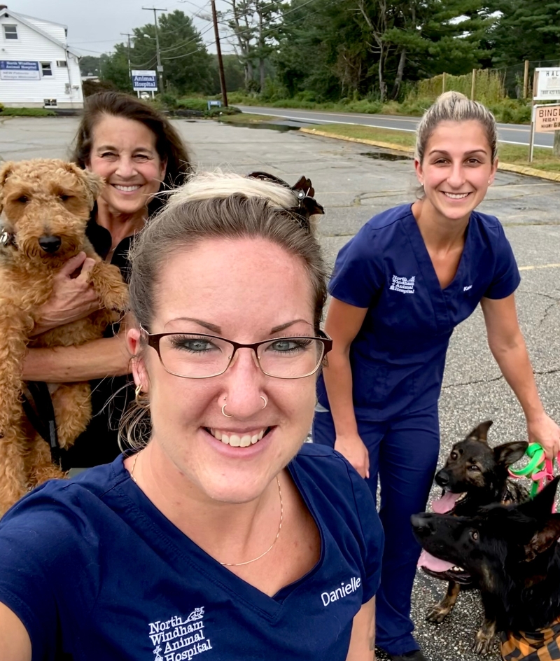 North Windham Veterinary Careers