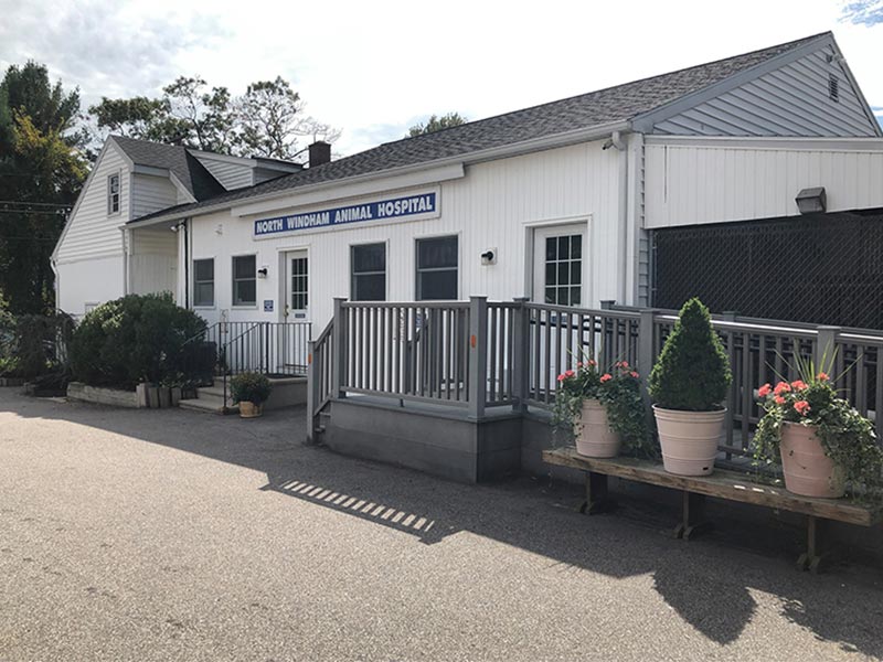 veterinary clinic in North Windham