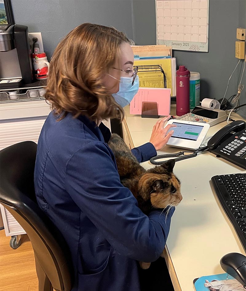 North Windham Animal Hospital