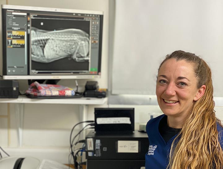 Xrays for Cats & Dogs